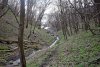 Курбацкий лес