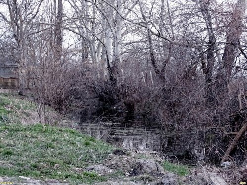 Зелёная зона в хуторе Тарусин