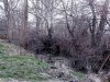 Зелёная зона в хуторе Тарусин