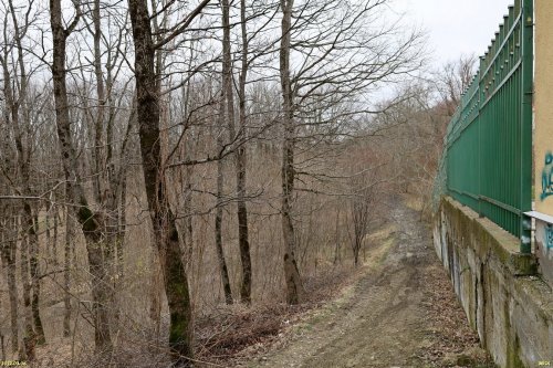Зелёная зона возле Лесной горки