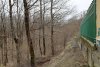 Зелёная зона возле Лесной горки