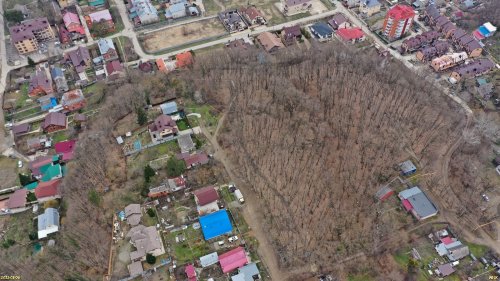 Лесная горка