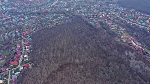 Грушовая щель
