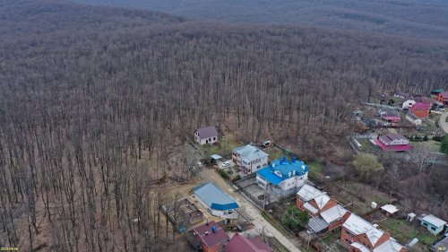 Грушовая щель