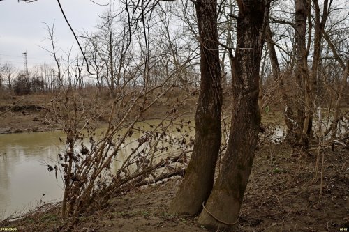 Зелёная зона (2) в м/к Развилка в Горячем Ключе возле КП Курортный
