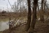 Зелёная зона (2) в м/к Развилка в Горячем Ключе возле КП Курортный