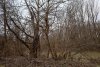 Зелёная зона (2) в м/к Развилка в Горячем Ключе возле КП Курортный