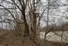 Зелёная зона (8) в Горячем Ключе возле "Старого замка"
