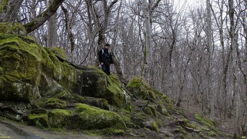 Горячий Ключ, Лесной парк