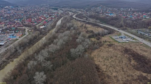 Заречный лес