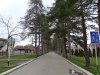 Зелёная зона Аллея 1000 сосен в Горячем Ключе