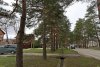 Зелёная зона Аллея 1000 сосен в Горячем Ключе