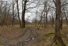 Зелёная зона (8) в Горячем Ключе на поляне Шапошникова 