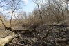 Остров в ст.Саратовской