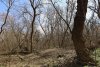 Остров в ст.Саратовской