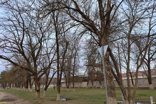 Зелёная зона в м/к Развилка в Горячем Ключе рядом с дубзаводом