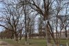 Зелёная зона в м/к Развилка в Горячем Ключе рядом с дубзаводом