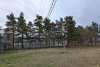 Зелёная зона "Сосны" в м/к Развилка в Горячем Ключе