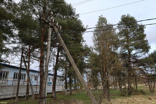 Зелёная зона "Сосны" в м/к Развилка в Горячем Ключе