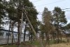 Зелёная зона "Сосны" в м/к Развилка в Горячем Ключе