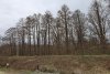 Зелёная зона в м/к Развилка (13) в Горячем Ключе возле ресторана "Дубрава"