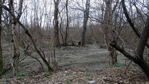 Зелёная зона в м/к Развилка (11) в Горячем Ключе вдоль Кунпанова ручья