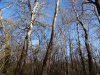 Зелёная зона в пос.Приреченский (6) возле кладбища