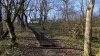Зелёная зона в пос.Приреченский (1) между ул.Парковой и ул.Горной