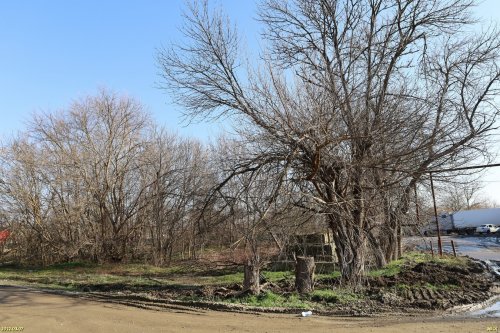 Зелёная зона в пос.Приреченский (3) на ул.Парковой
