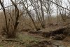 Зелёная зона в пос.Приреченский (7) в долине реки Дыш