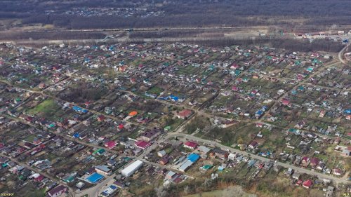 Саратовская дубрава
