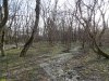 Зелёная зона в с.Виноградное (1)