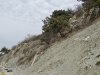 Пенайский лес на мысе Пенай, между с.Кабардинка и г.Новороссийск
