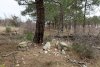 Северо-Кабардинский лес в с.Кабардинка