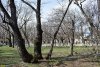 Зелёная зона в с.Кабардинка (1)