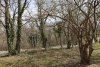Зелёная зона в с.Кабардинка (1)