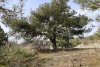 Зелёная зона в с.Кабардинка (4)