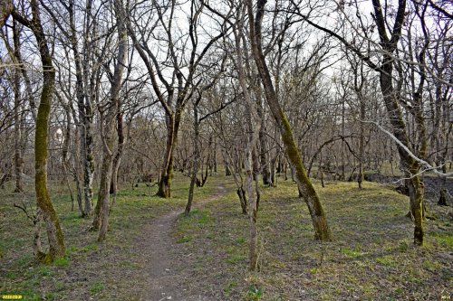 Долина реки Яшамба, Северный кластер
