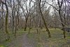 Долина реки Яшамба, Северный кластер
