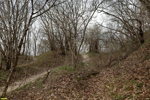 Зелёная зона в х.Горный (1)