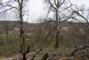 Горно-Баканский лес