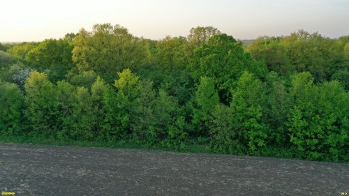 Бугайский лес