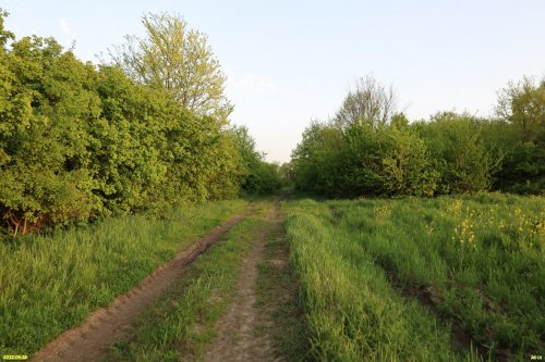 Бугайский лес