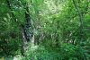 Зелёная зона в х.Горный (дополнительная)