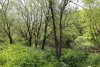 Зелёная зона в пос.Верхнебаканский (1)