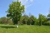 Зелёная зона в пос.Верхнебаканский: (дополнительная 1)