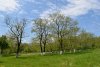 Зелёная зона в пос.Верхнебаканский: (дополнительная 1)