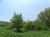 Зелёная зона в пос.Верхнебаканский (6)