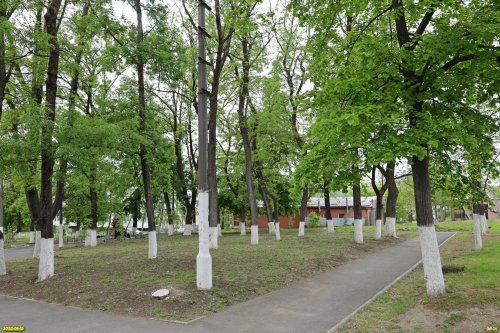 Парк возле ДК - зелёная зона в пос.Верхнебаканский (7)