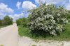 Зелёная зона по ул.Коммунистической в пос.Верхнебаканский: (дополнительная 2)
